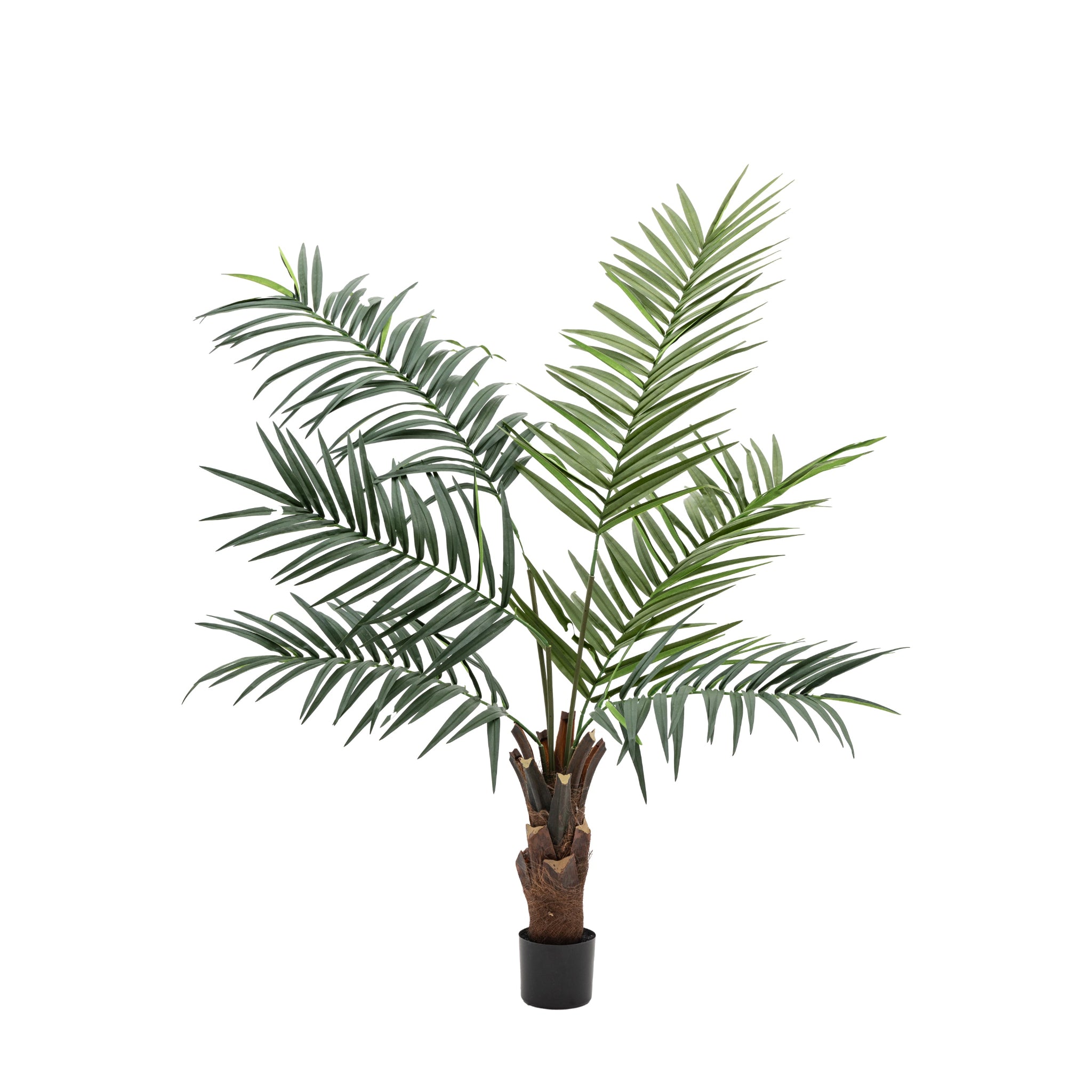 Artificial King Kentia Palm Tree - Potted King Kentia Palm Tree 5ft Sterling Home 4
