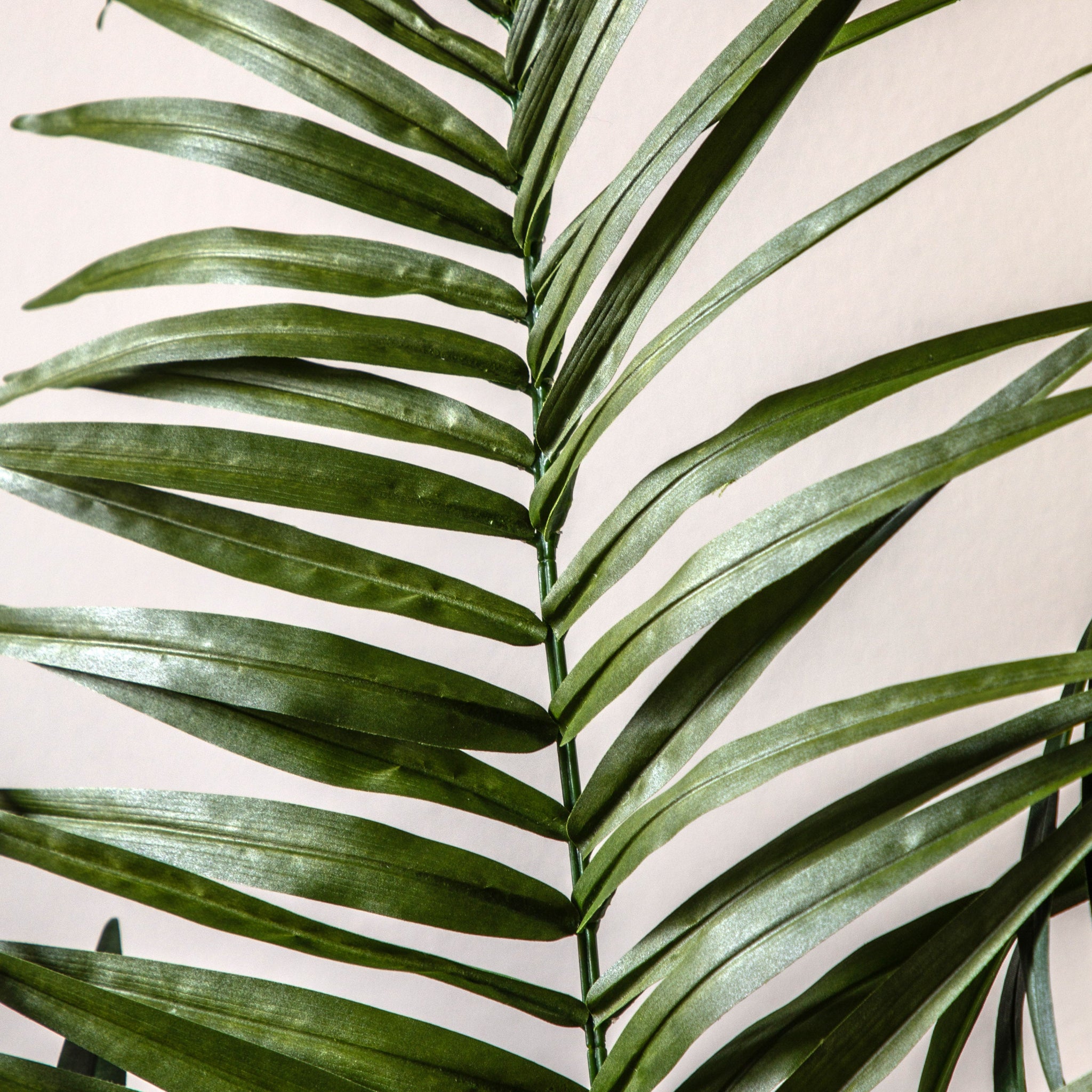 Artificial King Kentia Palm Tree - Potted King Kentia Palm Tree 5ft Sterling Home 3