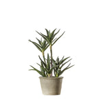 Artificial Potted Aloe - Potted Aloe 38CM Sterling Home 1