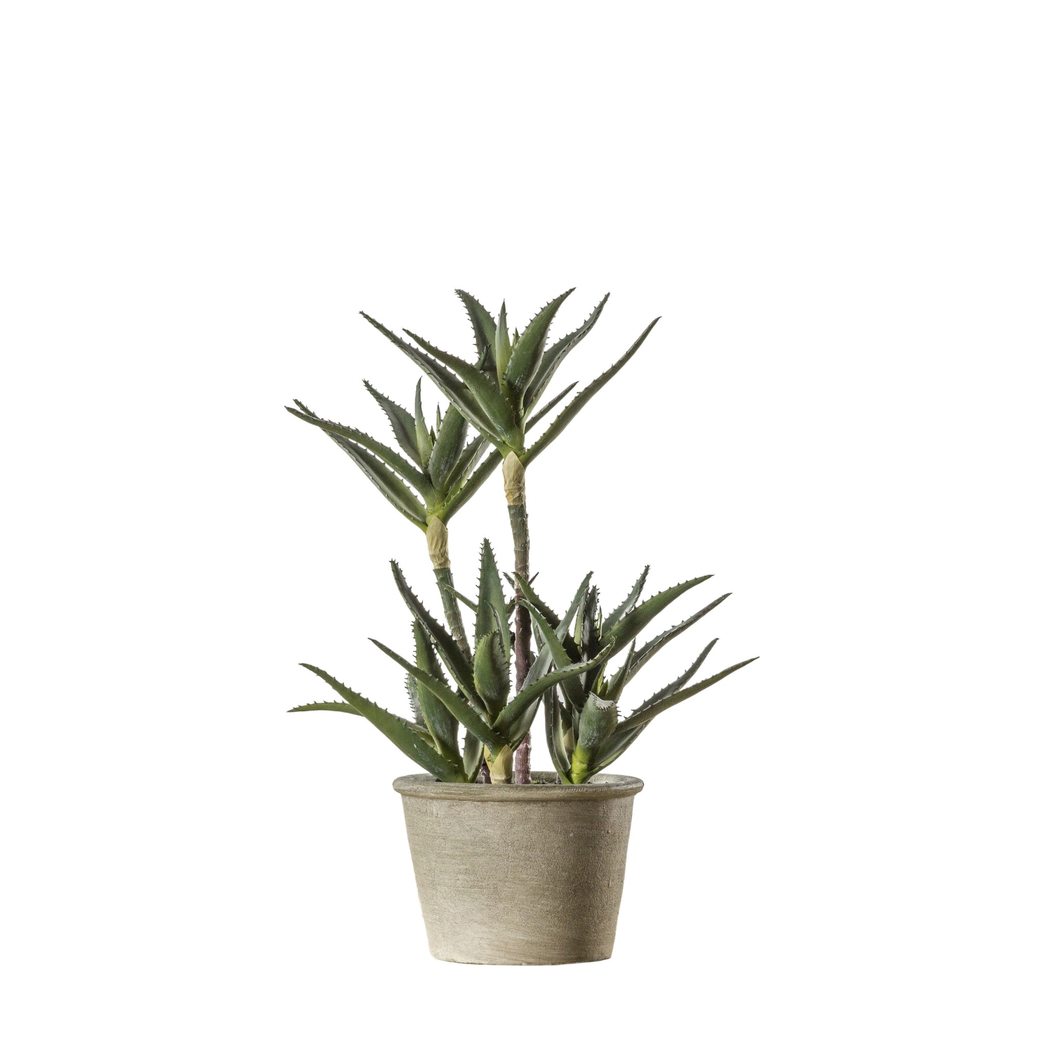 Artificial Potted Aloe - Potted Aloe 38CM Sterling Home 1