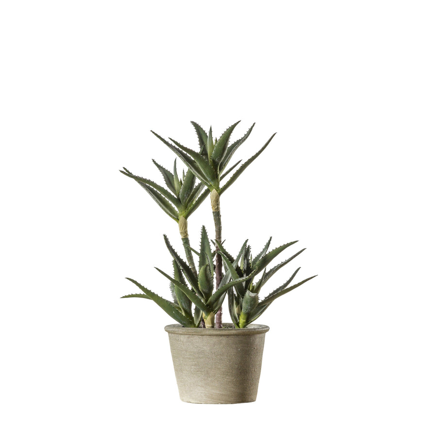 Artificial Potted Aloe - Potted Aloe 38CM Sterling Home 1