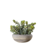 Artificial Sedum Green With Cement Bowl Large - Sedum Green w/ Cement Bowl Large Sterling Home 1