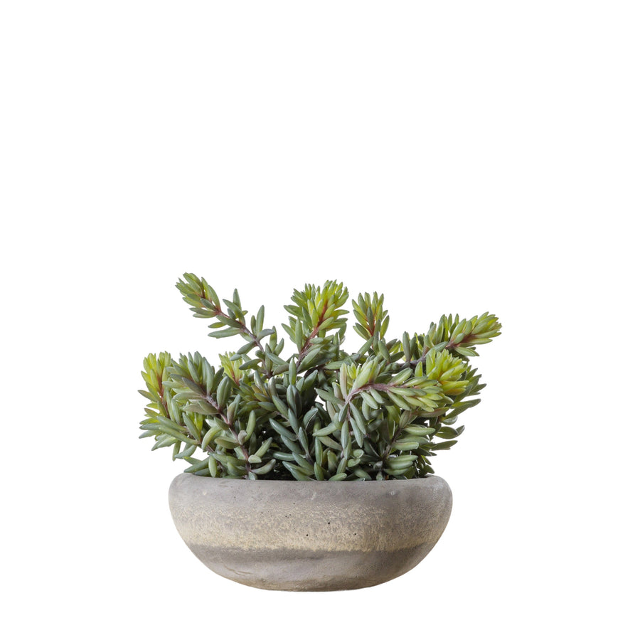 Artificial Sedum Green With Cement Bowl Large - Sedum Green w/ Cement Bowl Large Sterling Home 1