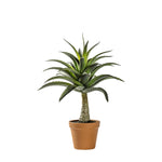 Artificial Potted Agave - Potted Agave 57CM Sterling Home 1