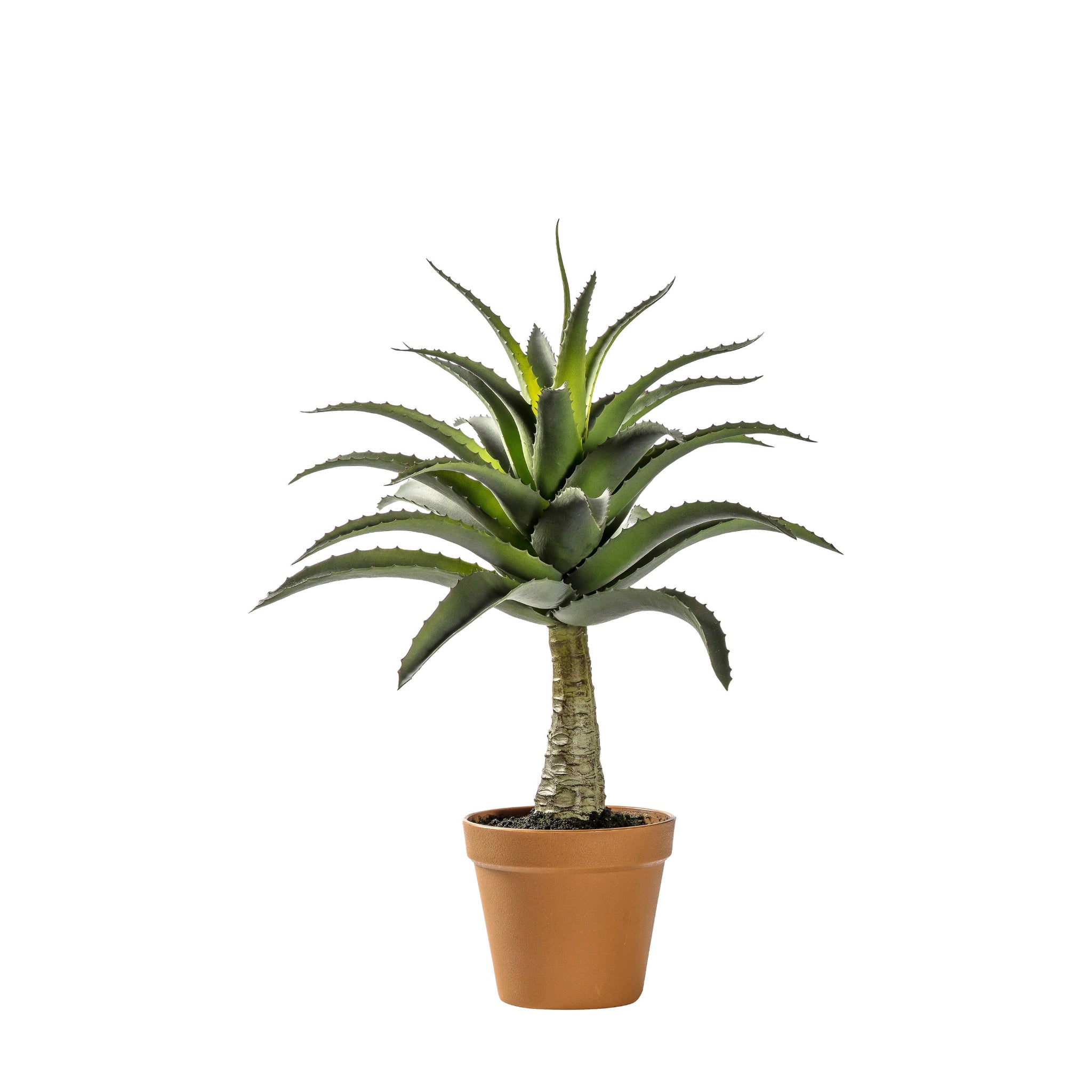 Artificial Potted Agave - Potted Agave 57CM Sterling Home 1