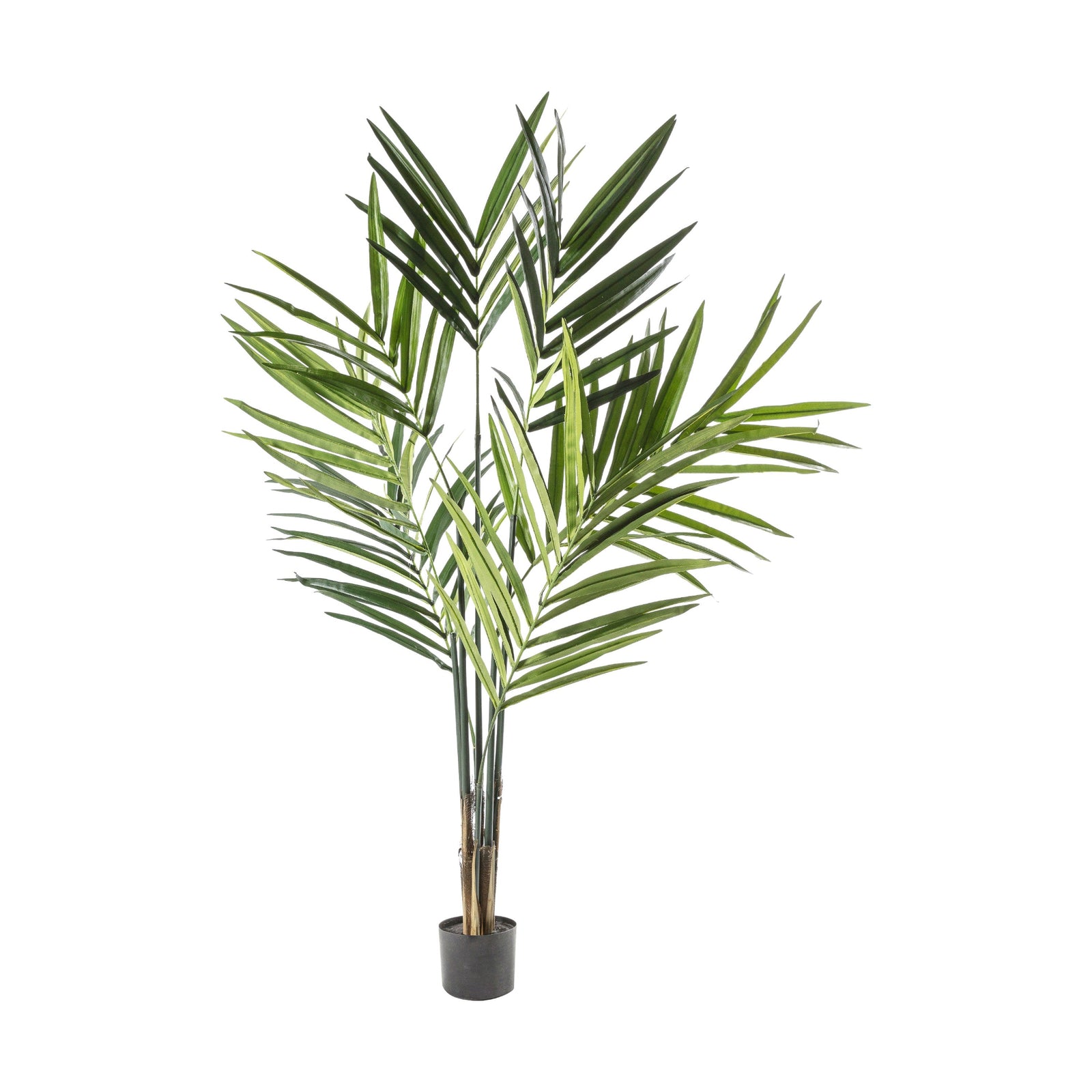 Artifical Kentia Palm Tree - Kentia Palm Tree 180CM Sterling Home 1