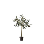 Artificial Olive Tree Small - Olive Tree Small Sterling Home 2