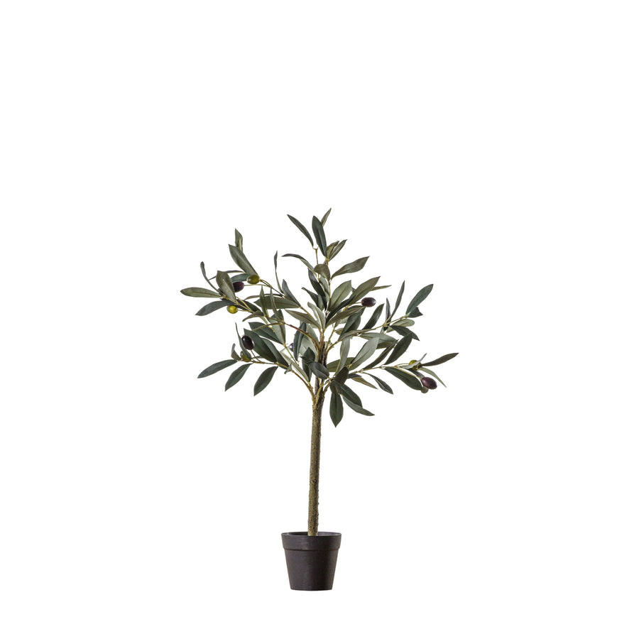 Artificial Olive Tree Small - Olive Tree Small Sterling Home 2