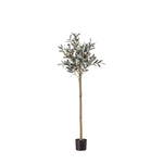 Artificial Olive Tree Medium - Olive Tree Medium Sterling Home 2