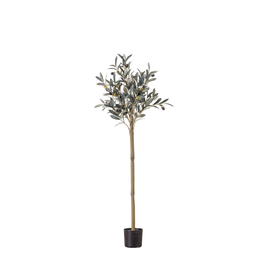 Artificial Olive Tree Medium - Olive Tree Medium Sterling Home 2