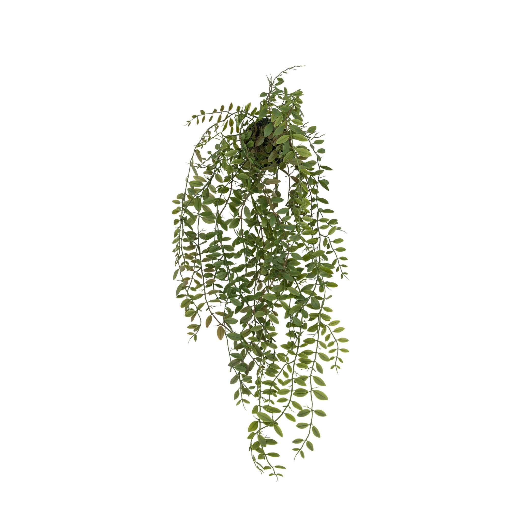 Artificial Trailing Fern In Soil - Trailing Fern in Soil Green 60CM Sterling Home 3