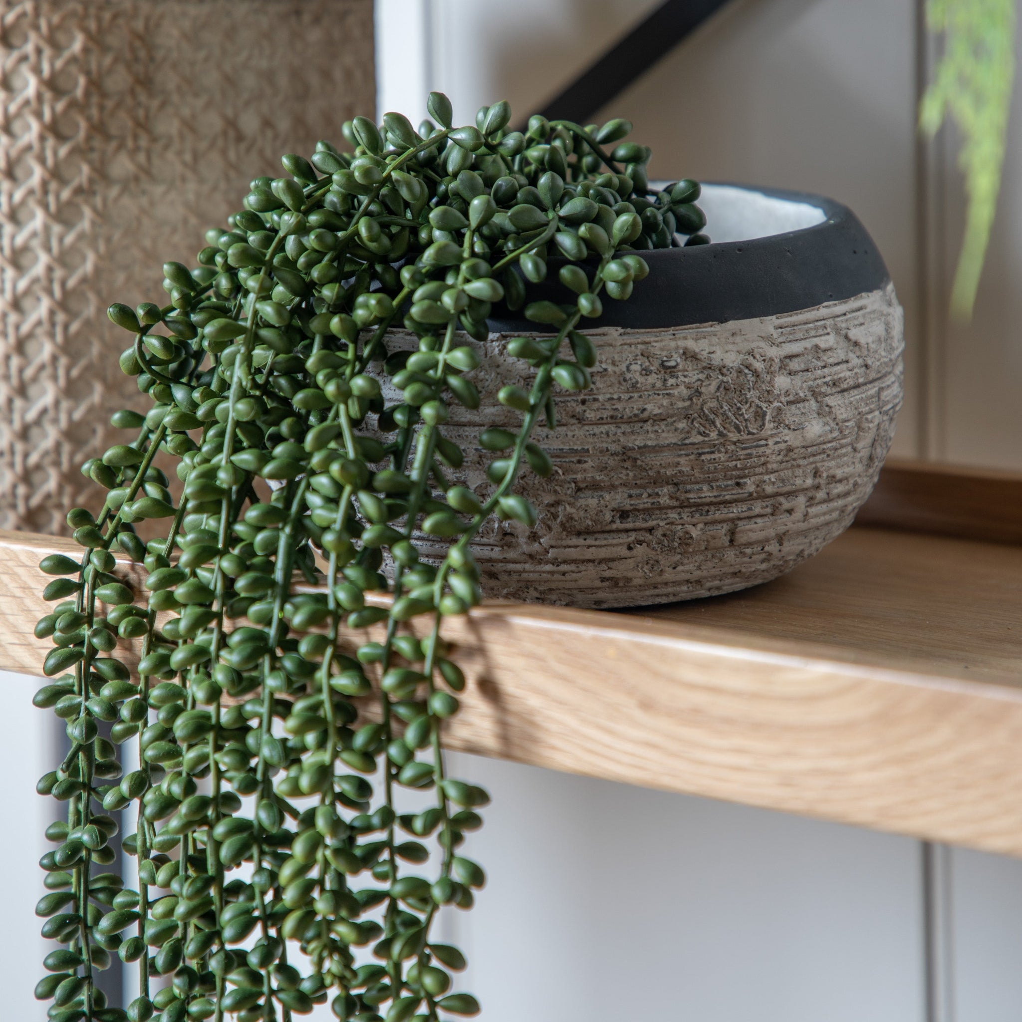 Artificial String Of Pearls In Soil - String of Pearls in Soil 71CM Sterling Home 3