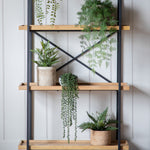 Artificial String Of Pearls In Soil - String of Pearls in Soil 71CM Sterling Home 2