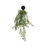 Artificial Trailing Wood Fern In Soil - Trailing Wood Fern in Soil Green 61CM Sterling Home 4