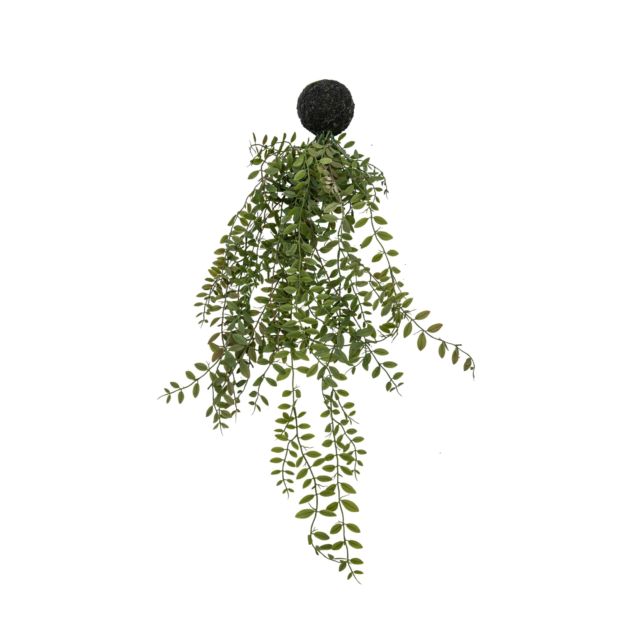 Artificial Trailing Wood Fern In Soil - Trailing Wood Fern in Soil Green 61CM Sterling Home 4