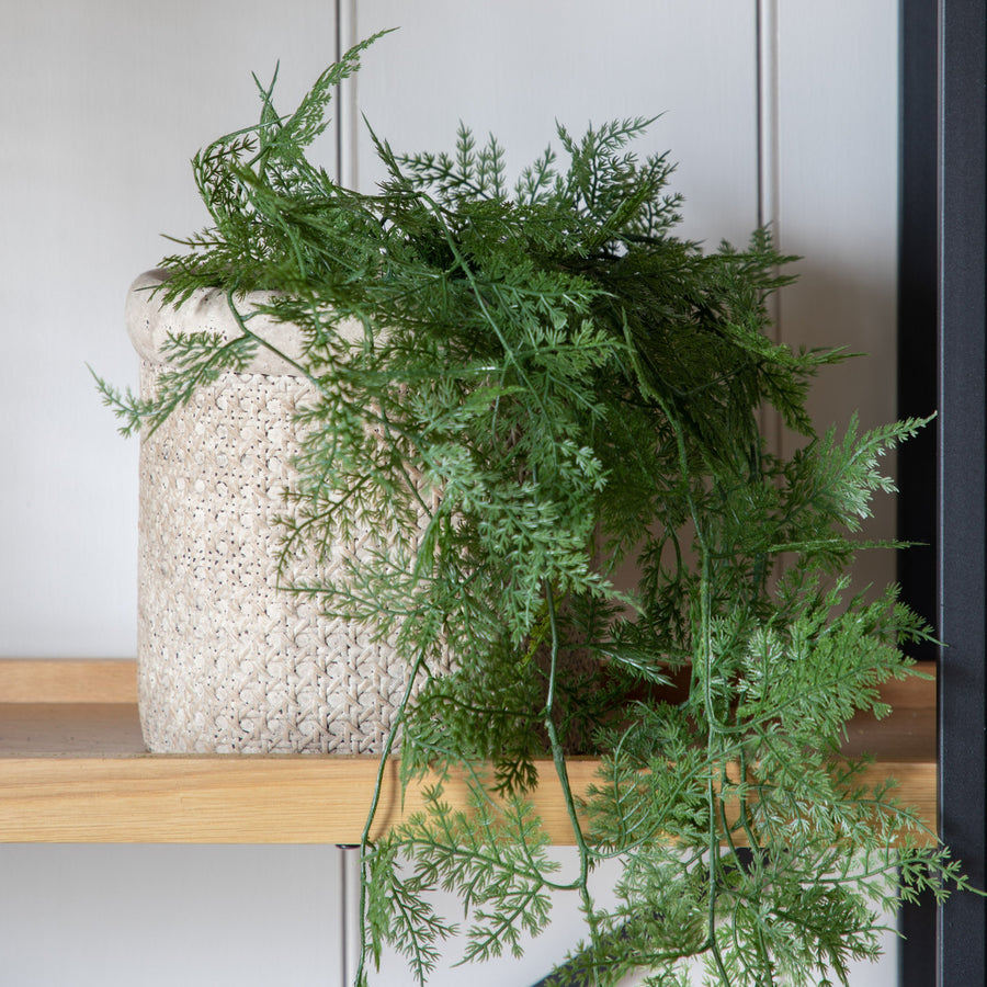 Artificial Trailing Wood Fern In Soil - Trailing Wood Fern in Soil Green 61CM Sterling Home 2