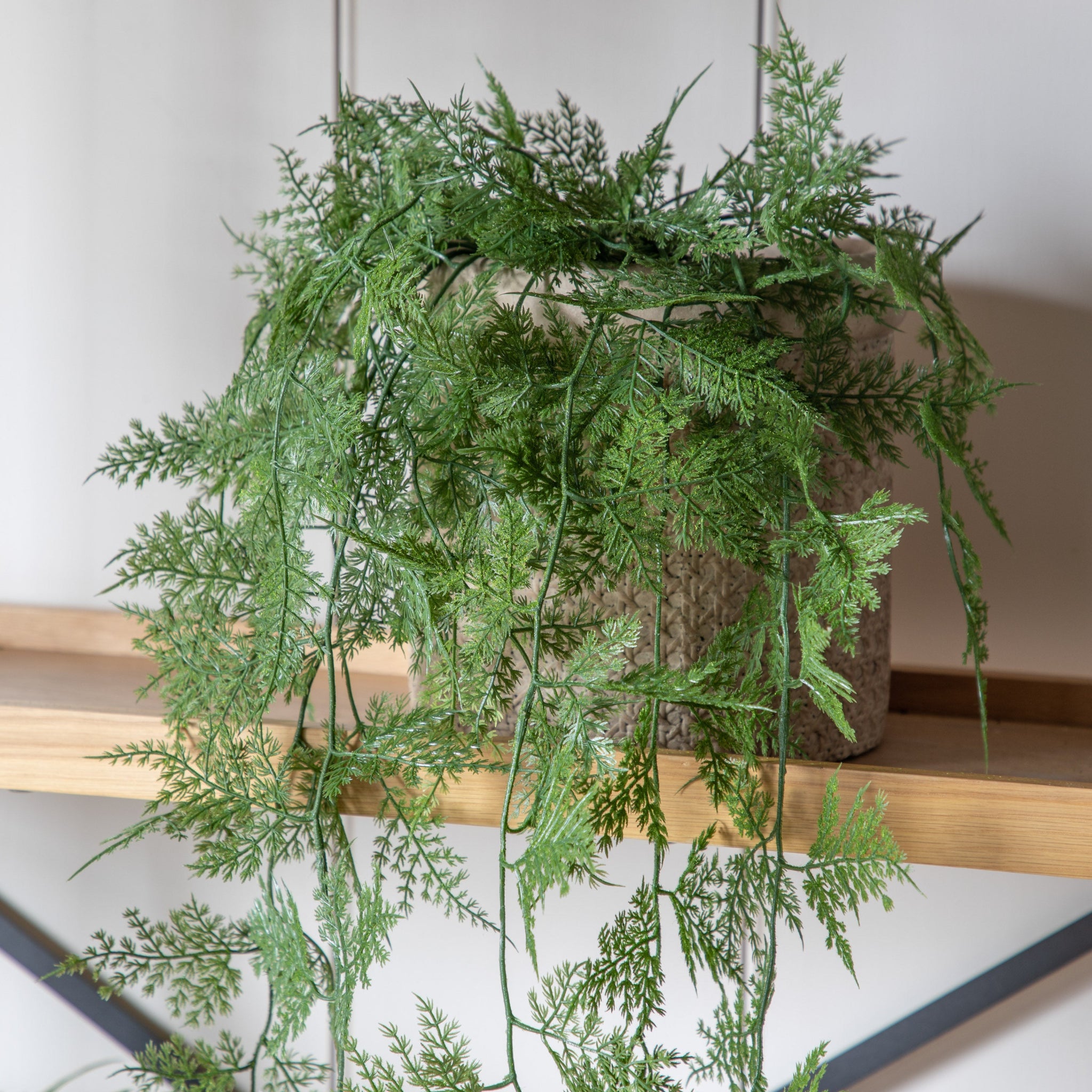 Artificial Trailing Wood Fern In Soil - Trailing Wood Fern in Soil Green 61CM Sterling Home 1