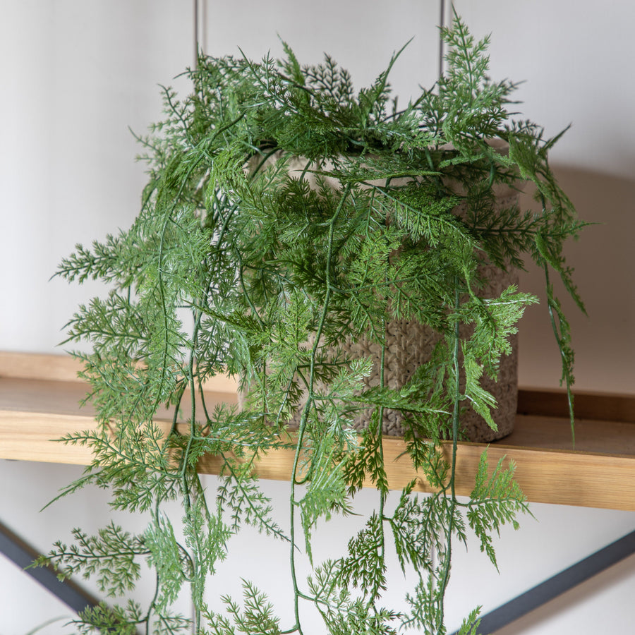 Artificial Trailing Wood Fern In Soil - Trailing Wood Fern in Soil Green 61CM Sterling Home 1