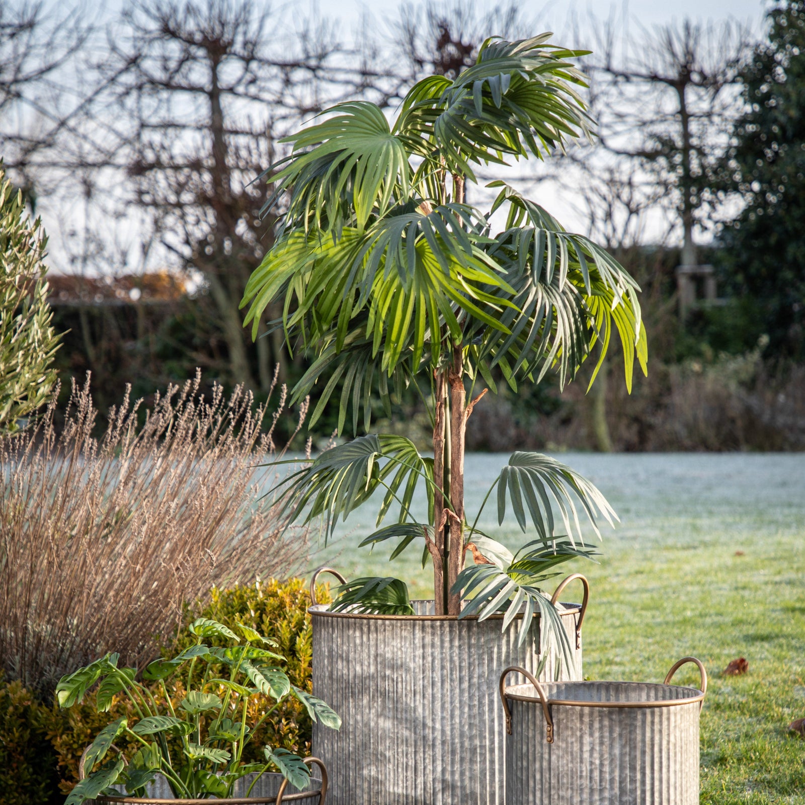 Artificial Chinese Fan Palm Large - Chinese Fan Palm Large 168CM Sterling Home 1