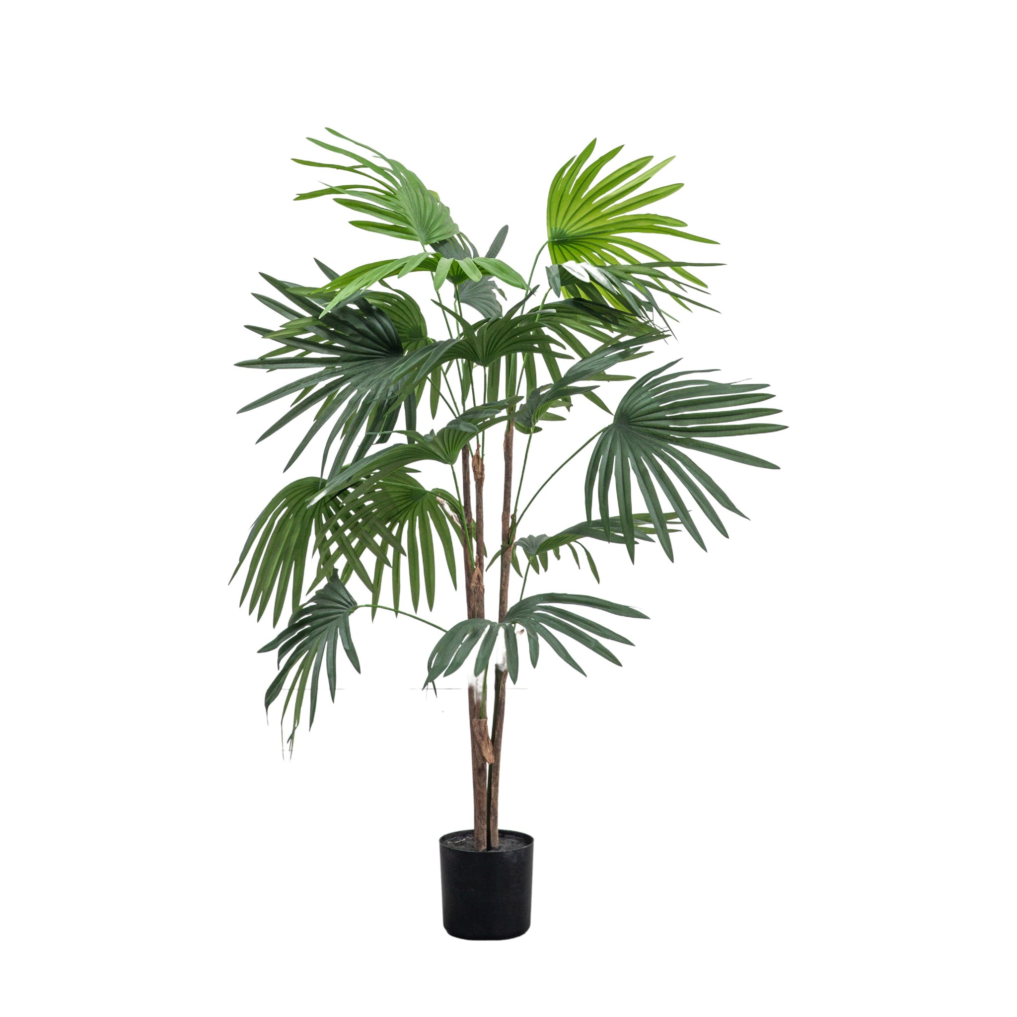 Artificial Chinese Fan Palm Small - Chinese Fan Palm Small 117CM Sterling Home 3