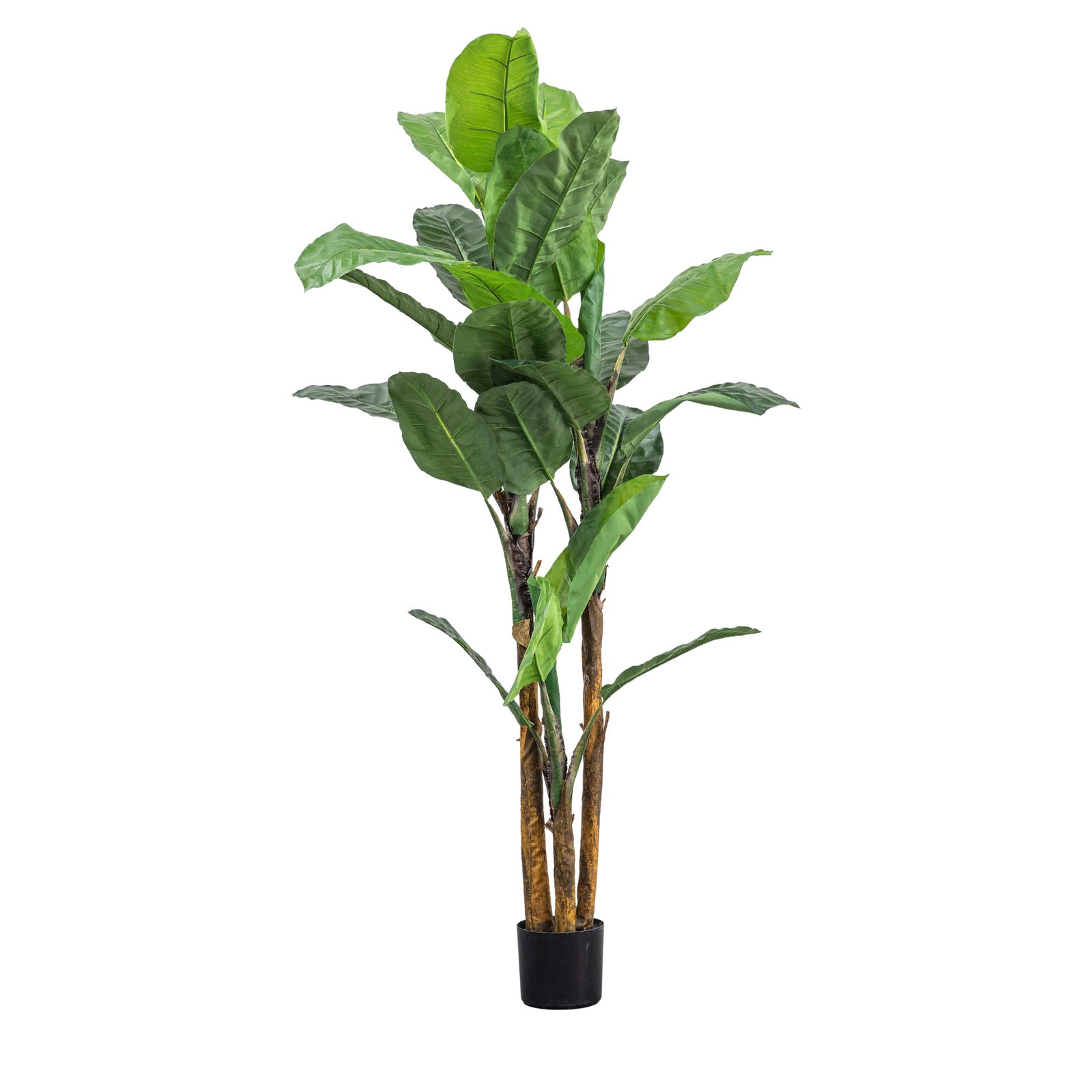 Artificial Banana Palm - Banana Palm Large 203CM Sterling Home 3