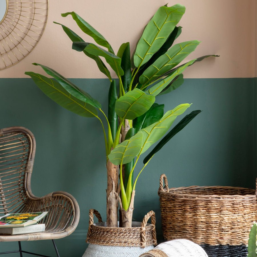 Artificial Banana Palm - Banana Palm Large 203CM Sterling Home 1