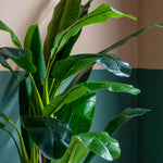 Artificial Banana Palm - Banana Palm Large 203CM Sterling Home 2