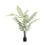 Artificial Butterfly Fern - Butterfly Fern Small 120CM Sterling Home 2
