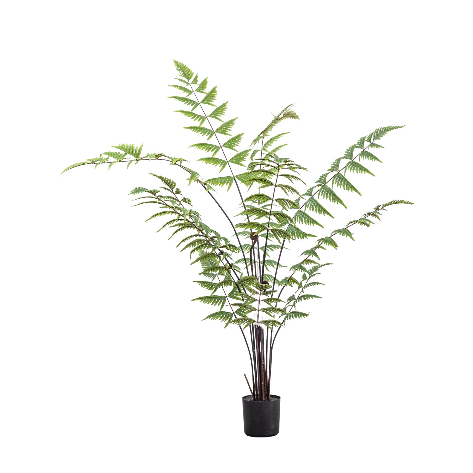 Artificial Butterfly Fern - Butterfly Fern Small 120CM Sterling Home 2