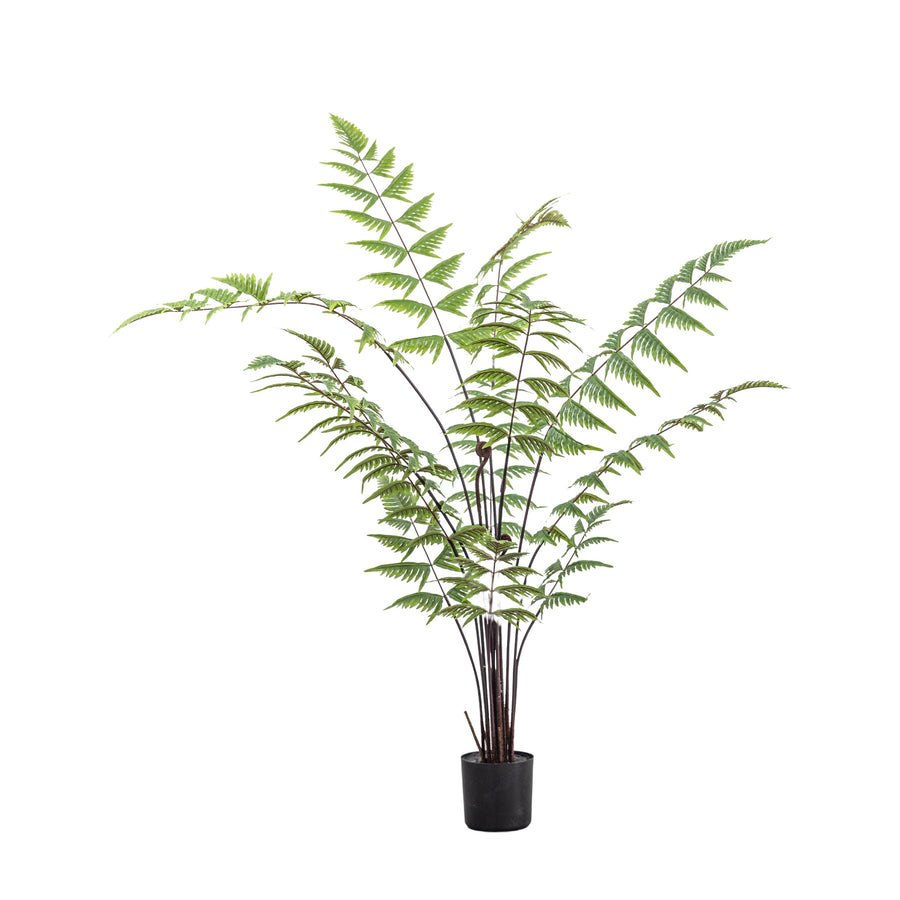 Artificial Butterfly Fern - Butterfly Fern Small 120CM Sterling Home 2