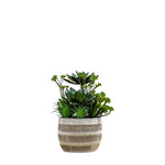 Artificial Potted Succulents In Ceramic Pot - Potted Succulents Ceramic Pot Green Brown Large Sterling Home 3