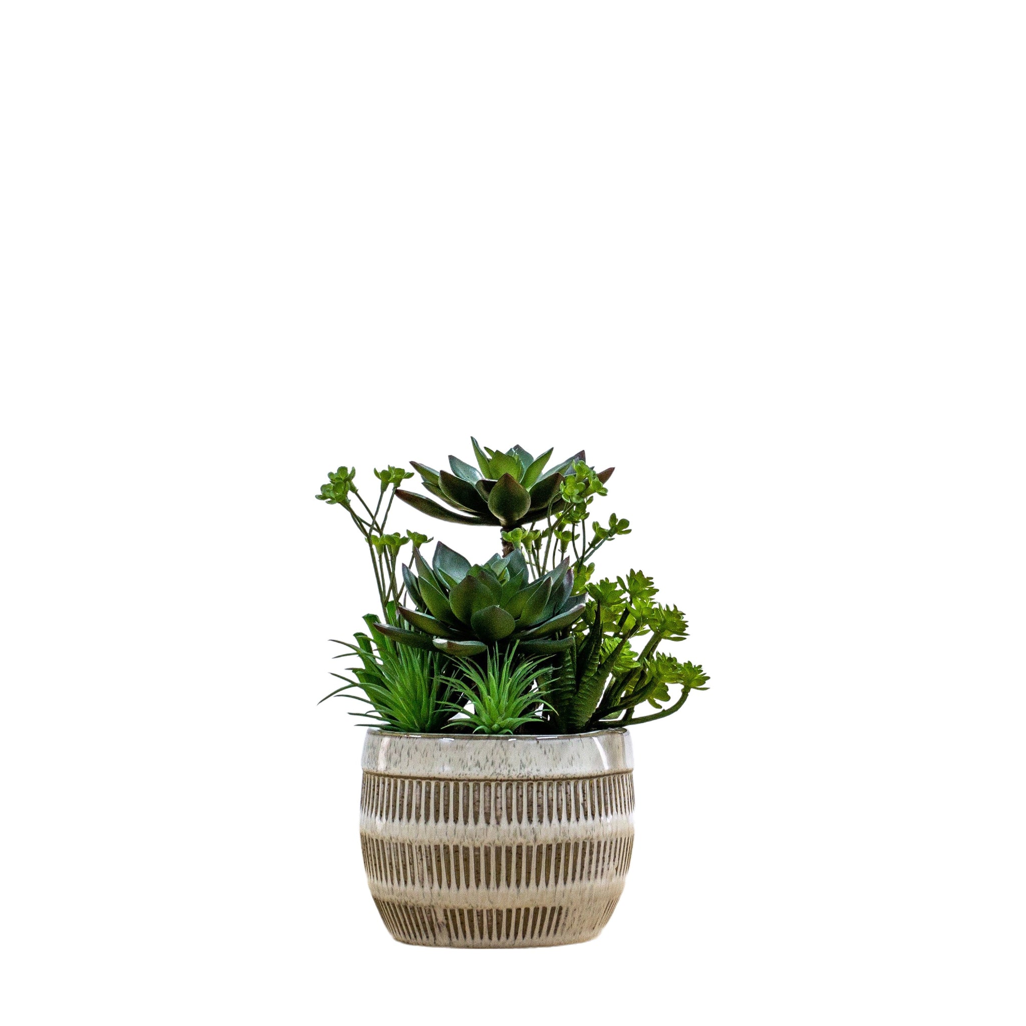 Artificial Potted Succulents In Ceramic Pot - Potted Succulents Ceramic Pot Green Brown Large Sterling Home 3