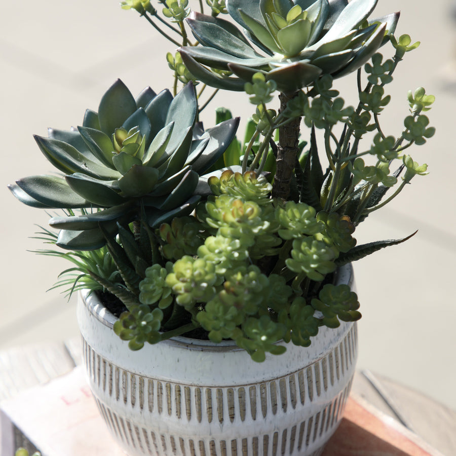 Artificial Potted Succulents In Ceramic Pot - Potted Succulents Ceramic Pot Green Brown Large Sterling Home 2