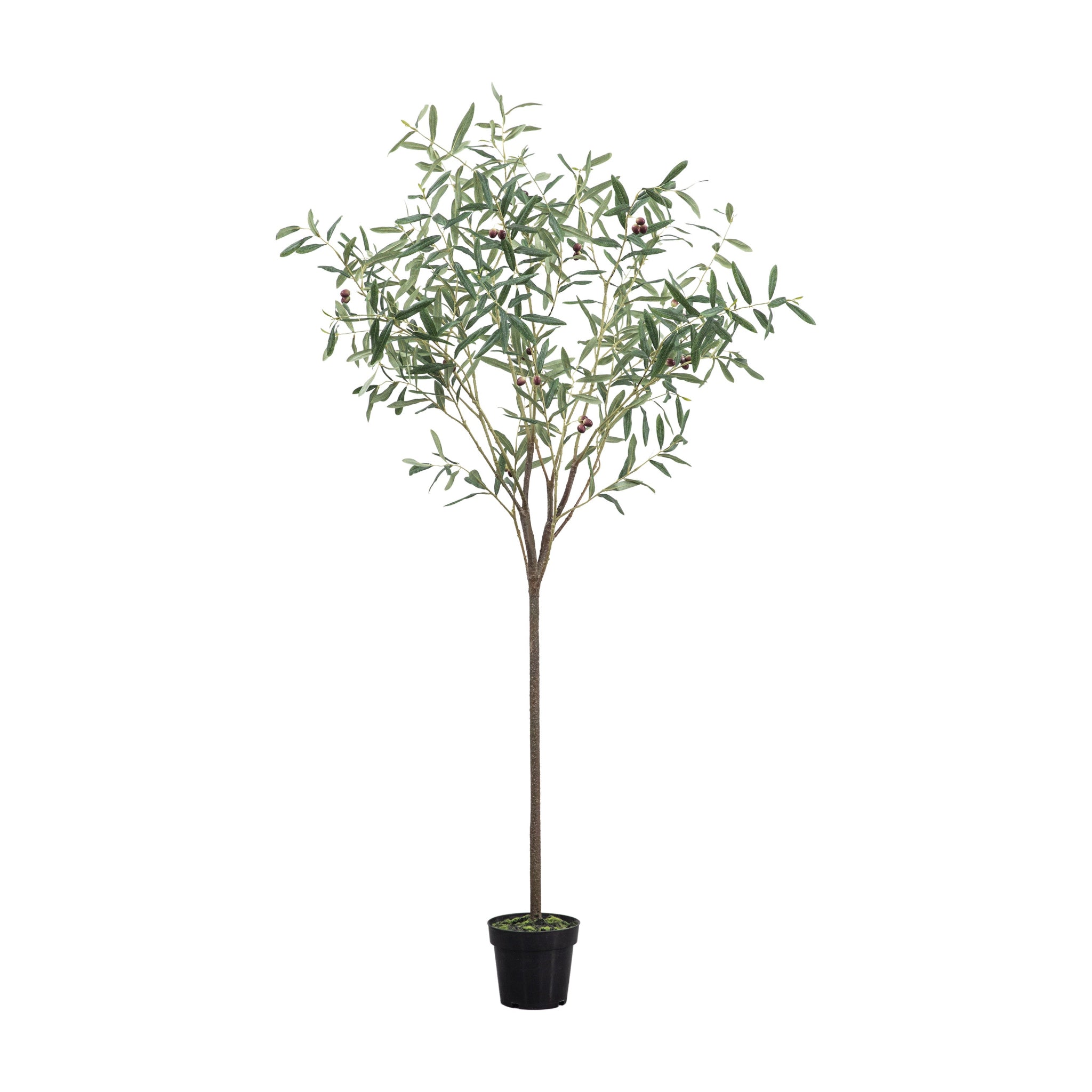Artificial Olive Tree Small - Olive Tree Small Green Sterling Home 1