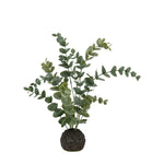 Artificial Eucalyptus in Green Soil - Eucalyptus in Soil Dusky Green 25X46CM Sterling Home 4