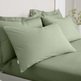 Bianca 200TC Percale Sage Standard Pillowcase Pair