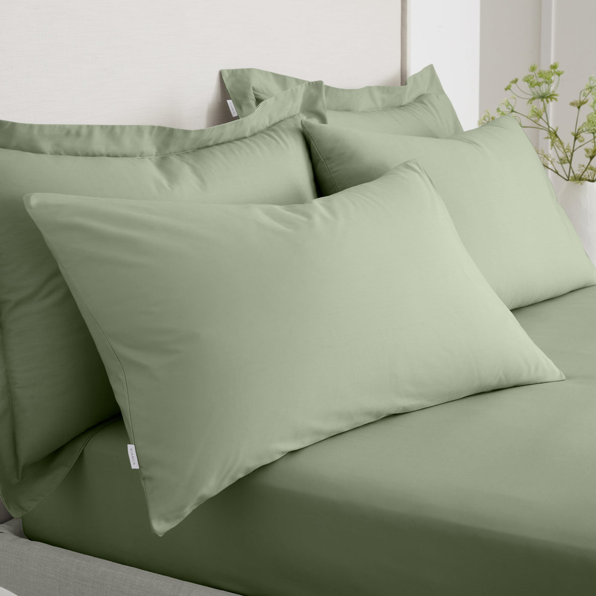 Bianca 200TC Percale Sage Standard Pillowcase Pair - 200TC Percale Sage Std Pillowcase Pair Sterling Home 1