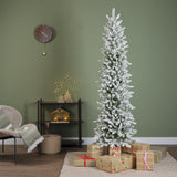 Slim Fir Snowy 6ft