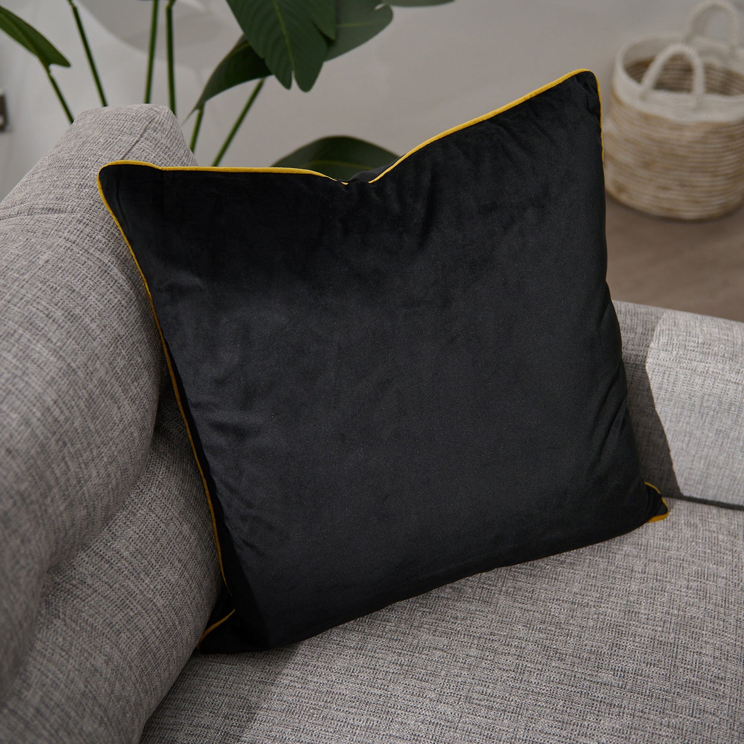Meridian Velvet Black And Gold Square Cushion - DISC Meridian Velvet Piped Cushion 55X55 Blk/Gld Accessories Sterling Home 1