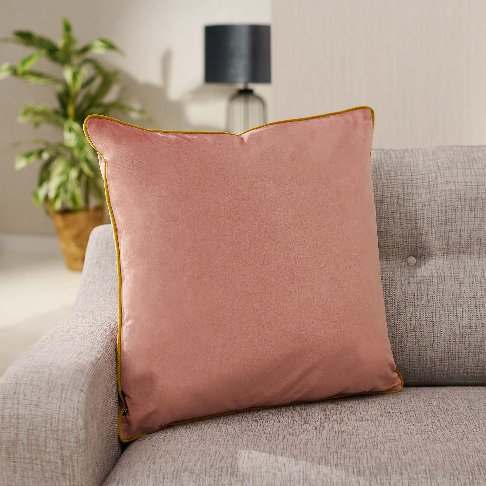 Meridian Velvet Pink And Gold Square Cushion - DISC Meridian Velvet Piped 55CM x55CM Cushion Blsh/Gold Accessories Sterling Home 1