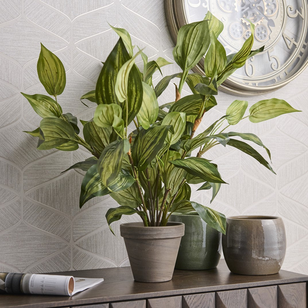 Potted plant on a wooden surface with a decorative wall in the background