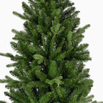 Killington Fir Tree - Killington Fir 210CM Accessories Sterling Home 3