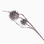 Grey Allium Double Artificial Flower - 79cm Allium Foam Double Stem Flower Grey Accessories Sterling Home 2