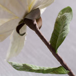 White Foam Artificial Flower - 86cm Foam Flower Cream Accessories Sterling Home 4