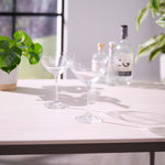 Eternity Crystal Set of 2 Coupe Glasses - Eternity Crystal - Crystal Coupe glass S/2 Accessories Sterling Home 1