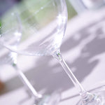 Eternity Crystal Set of 2 Coupe Glasses - Eternity Crystal - Crystal Coupe glass S/2 Accessories Sterling Home 3