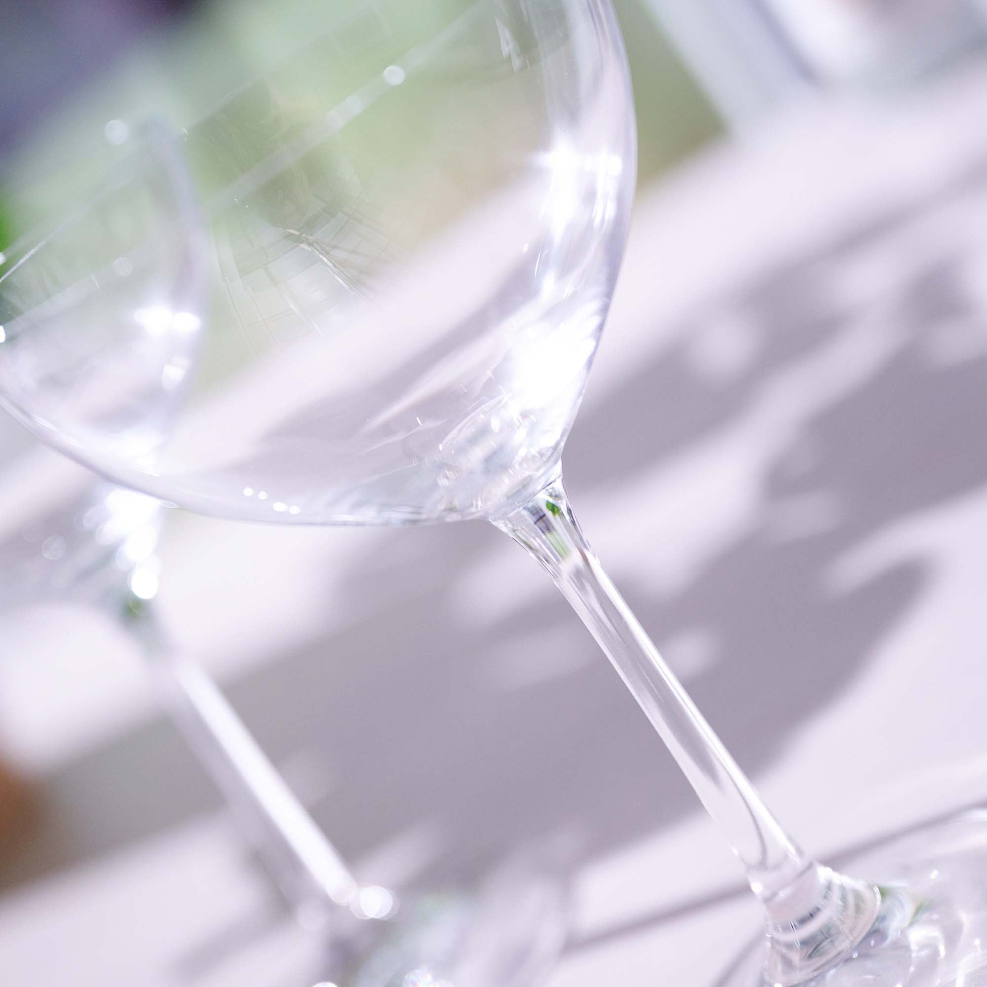 Eternity Crystal Set of 2 Coupe Glasses - Eternity Crystal - Crystal Coupe glass S/2 Accessories Sterling Home 3