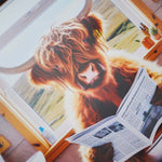 Male Highland Cow On Loo Wall Art - Male Highland Cow On Loo 30x30 Accessories Sterling Home 3