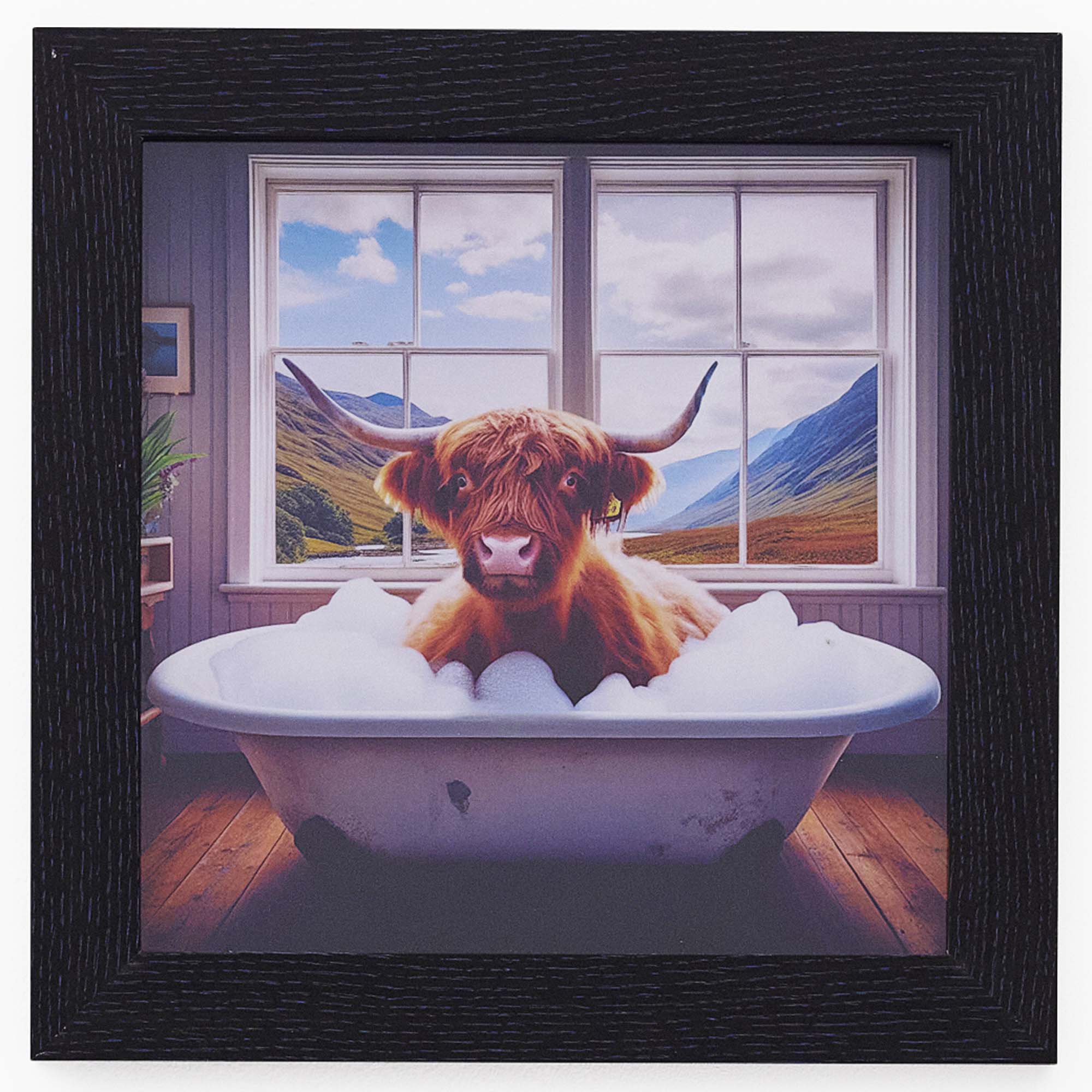 Highland Cow In White Bath Wall Art - Highland Cow In White Bath 30x30 Accessories Sterling Home 2