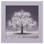 Silver Tree With Silver Frame Liquid Art - DISC Silver Tree 30x30 Liquid Art Accessories Sterling Home 2